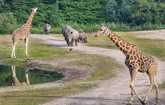 4 tickets voor Koninklijke Burgers' Zoo!